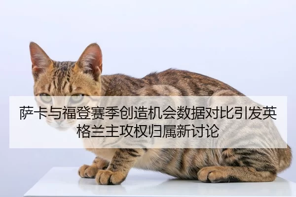 萨卡与福登赛季创造机会数据对比引发英格兰主攻权归属新讨论