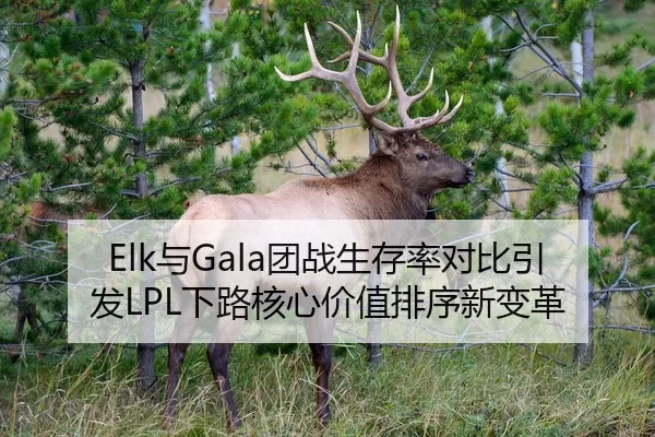 Elk与Gala团战生存率对比引发LPL下路核心价值排序新变革