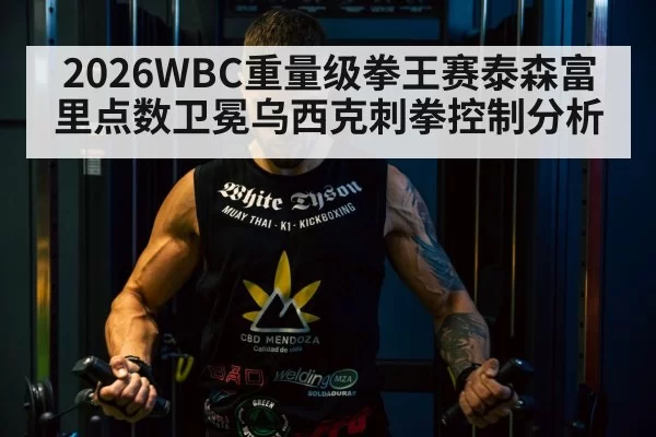 Tyson Fury boxing