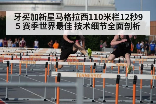 110m hurdles race